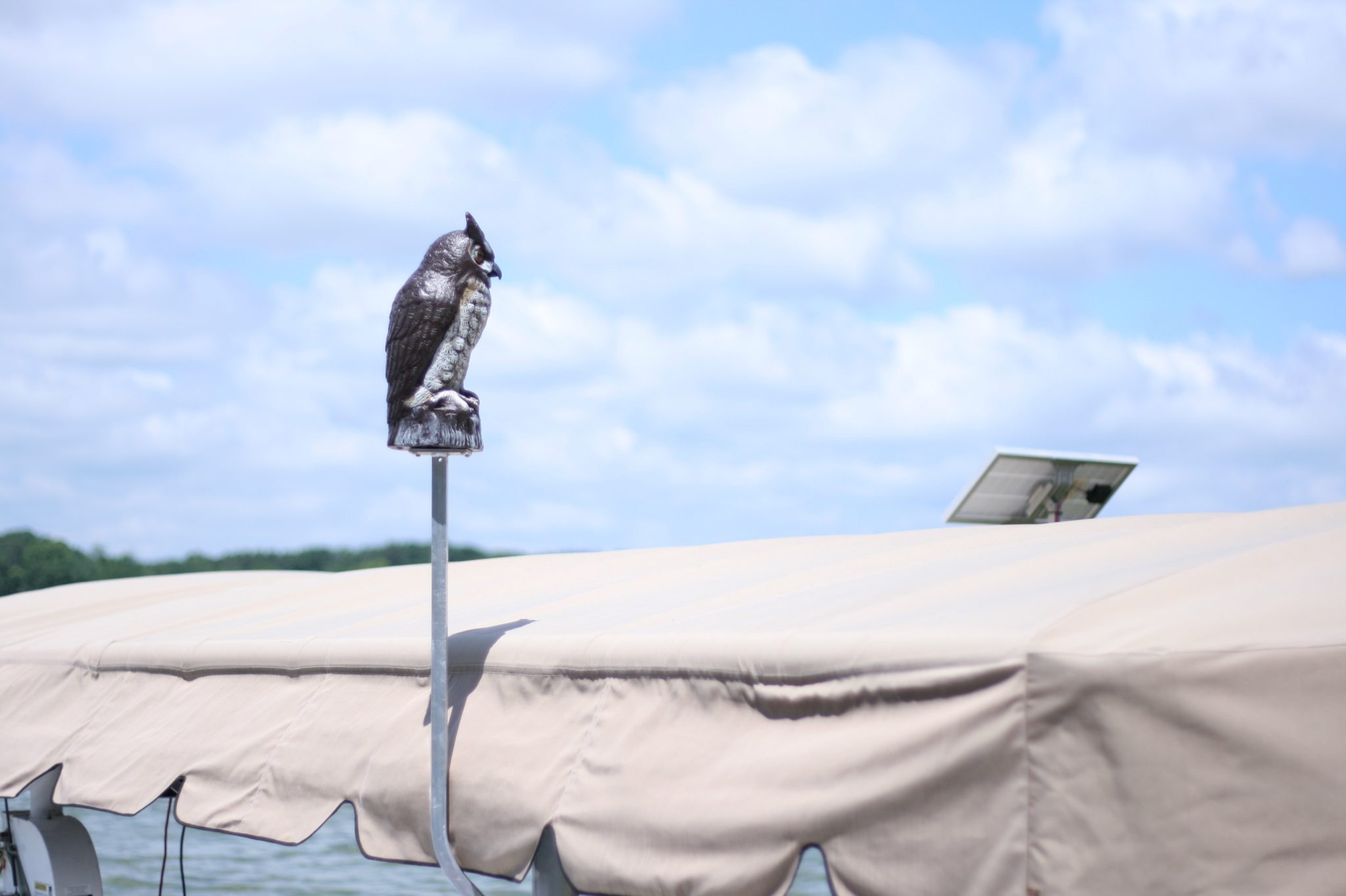 Great Horned Owl Decoy 36″ Mounting Arm Bracket + Bolts + Straps