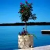 Large Flower Pot